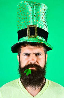 Yeşil şapkalı sakallı adamın yakın plan portresi. Patricks Günü kutlaması. Patrick Günü partisinde cüce şapkalı, sakallı ciddi bir adam. Cüce kostümlü yakışıklı erkek, ağzında yonca var.