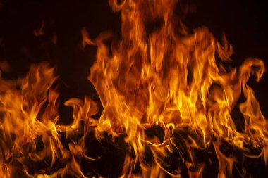 Ateşin dokusu siyah arkaplanda. Şenlik ateşi. Siyah arka planda ateş dokusu. Siyah arka planda yangın. Siyah arkaplanda yangın.