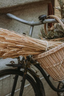 Parlak renkli ortanca çalıları bahçedeydi. Farklı renkte ortancalar güzel bir dizaynda. Tüm ihtişamıyla parlak pembe ve mor ortancalar. Çiçek cenneti. Renkli uyum.