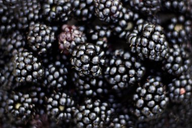 Taze hasat. Taze sulu yaz hasadı. Ev yapımı doğal ürünler. Hasat. Olgun böğürtlen. Sonbahar meyveleri. Kırmızı ve siyah böğürtlen.