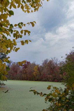 Doğu Avrupa Doğu Ukrayna, Harkiv bölgesi