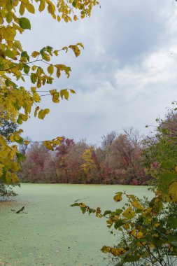 Doğu Avrupa Doğu Ukrayna, Harkiv bölgesi
