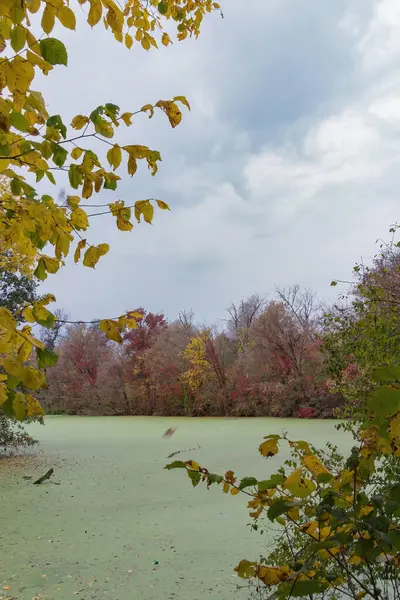 Doğu Avrupa Doğu Ukrayna, Harkiv bölgesi