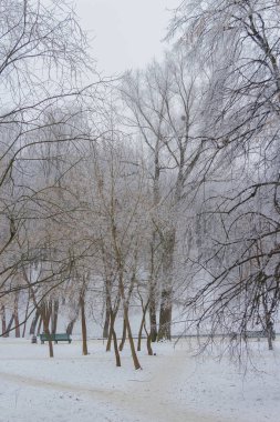 Kış, kar, Ukrayna, Harkiv 