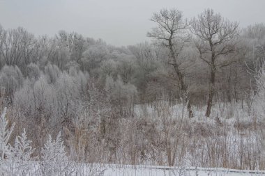 Kış, kar, Ukrayna, Harkiv 