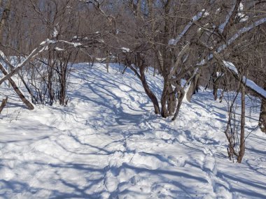 Kış, kar, Ukrayna, Harkiv 