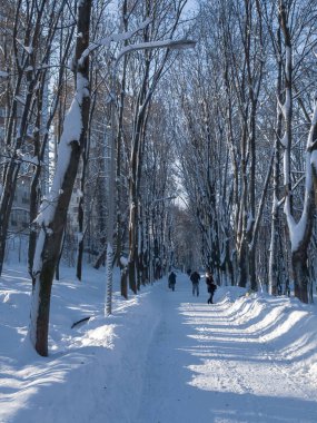 Kış, kar, Harkiv, Ukrayna