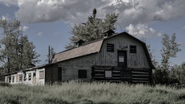 Kırsal kesimlerdeki tarlalarda terk edilmiş eski bir ahır. Aşırı büyümüş bir arazide çürümüş ahşap bir yapı. Çiftlik evine tahta çakılmış.