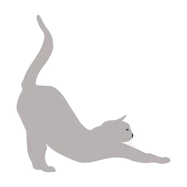 Silhouette Einer Grauen Katze Wölbt Sich Vor Vergnügen — Stockvektor