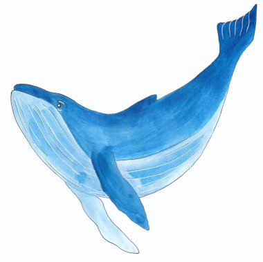 Mavi balina suluboya beyaz arka planda izole. sualtı okyanus hayvanı