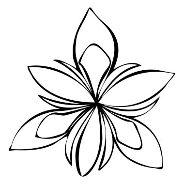 Abstract lily flower. Hand drawn line leaves isolated on white clipart