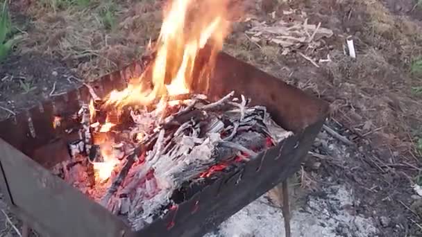 풍경에서 바베큐에서 불타는 — 비디오