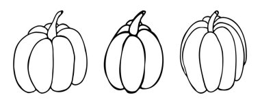 Bedava karalama balkabakları seti. Şükran Günü vektör elemanları