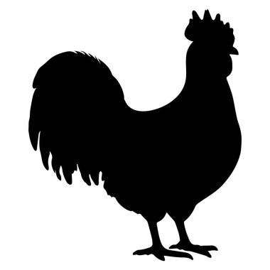 Bir horozun vektör silueti. Kırsal kuş. Simge siyahı