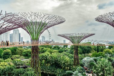 Singapur körfezi yakınlarındaki Gardens 'ta yüksek yürüyüş yolu..