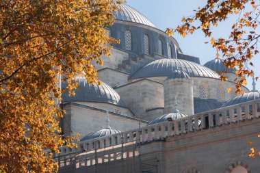 İstanbul, Türkiye 'deki Sultanahmet' in turistik ilçesinde yer alan Mavi Mosue (Sultan Ahmed Camii) üzerindeki kubbelerin, otistik yapraklar ve İstanbul 'daki bir ağacın yaprakları tarafından çerçevelenen yakın plan ayrıntıları.