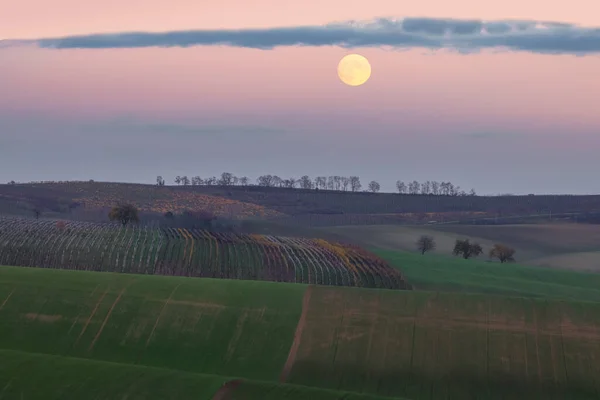 Een Volle Maan Komt Boven Het Kleurrijke Pastorale Landschap Van — Stockfoto