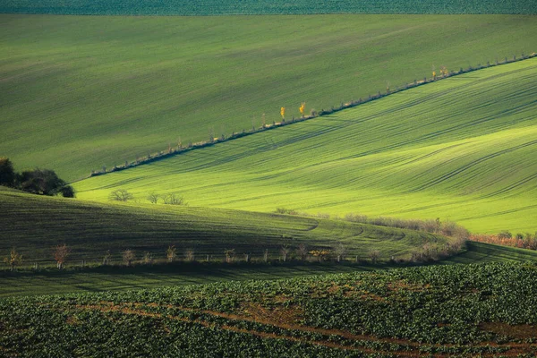 Warstwy Wzory Uprawach Rolnych Pagórkowatych Wzgórzach Wiejskich Terenach Wiejskich Dystryktu — Zdjęcie stockowe