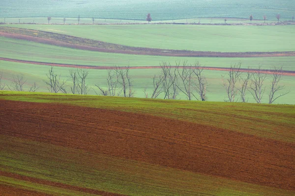 Warstwy Wzory Glebie Rolniczej Pagórkowatych Wzgórzach Wiejskich Terenach Wiejskich Dystryktu — Zdjęcie stockowe
