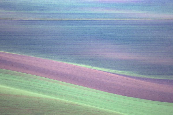 Abstrakcyjny Opis Warstw Kolorowych Pasm Glebowych Terenach Rolniczych Moraw Południowych — Zdjęcie stockowe