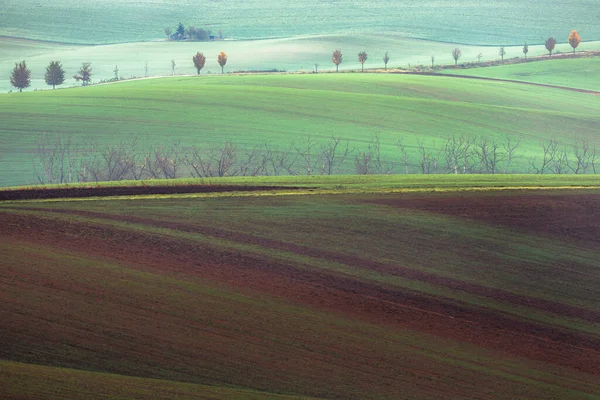 Schichten Und Muster Des Landwirtschaftlichen Bodens Den Sanften Hügeln Und — Stockfoto