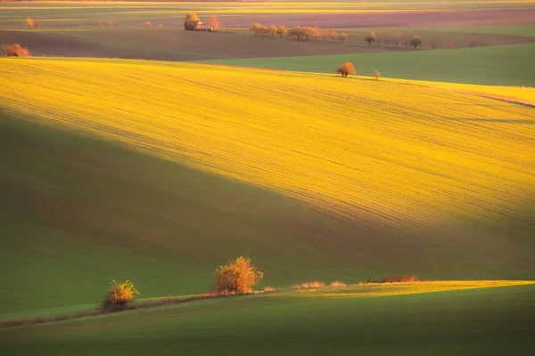 チェコ共和国南モラヴィアのホドニン地区にある丘陵や田園風景の農地で 日没や日の出の黄金の光 — ストック写真