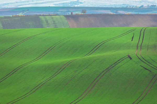 Tracciati Trattori Agricoli Sul Paesaggio Ondulato Della Campagna Della Moravia — Foto Stock