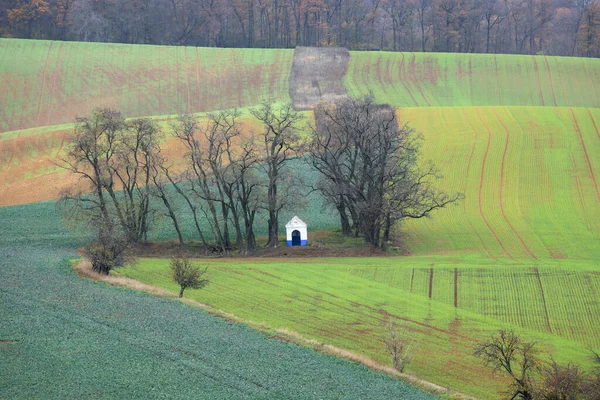 Capilla Miniatura Rodeada Árboles Colorido Paisaje Rural Finca Moravia Del —  Fotos de Stock