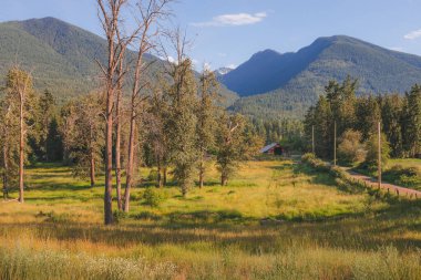 Balfour, British Columbia, Kanada yakınlarındaki Batı Kootenays 'deki Selkirk Dağı' nda güneşli bir yaz gününde kırsal alan, kırsal alan ve ahır..