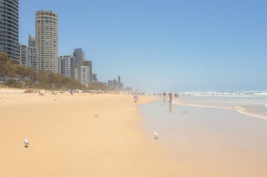 Sörfçüler Paradise, Avustralya - 4 Ocak 2023: Turistler ve sörfçüler güneşli bir yaz gününde tatil yerlerinde, Surfers Paradise, Queensland 'da tatil yapıyorlar..