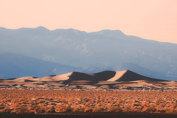 Panorama Dramatic Light Shadow Desert Landscape Golden Mesquite Flat Sand — Stock Photo, Image
