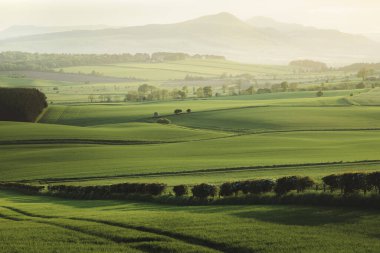 Kennoway, Fife, İskoçya, İngiltere 'nin dışından Lomond Hills Bölgesel Parkı ve Batı Lomond Tepesi' ne yeşil pastoral tarım arazisi manzarası.