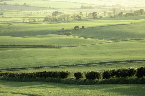 Panorama Paesaggistico Ondulato Terreni Agricoli Verdi Fuori Kennoway Fife Scozia — Foto Stock