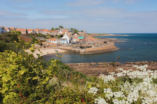View Quaint Picturesque Harbour Seaside Fishing Village Crail Sunny Summer — Stock Photo, Image