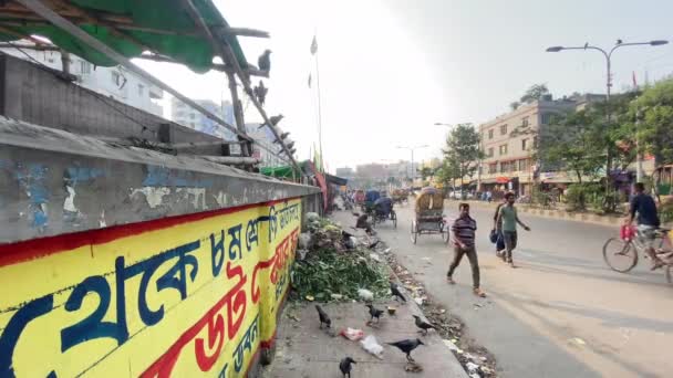 Basura Caída Carretera Ciudad Dhaka Mala Condición Ambiental Cuervos Volando — Vídeos de Stock