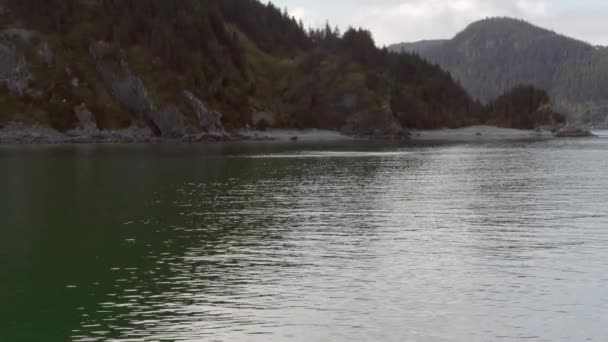 Alaskas Yttre Kust Glacier Bay National Park Vatten Och Berg — Stockvideo