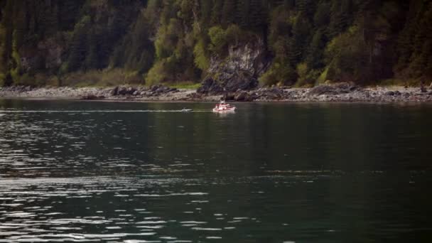 Alaska Yttre Kusten Glacier Bay Nationalpark Båt Passerar — Stockvideo