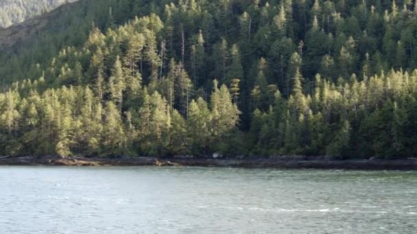 Kanada Der Passage Vancouver Island Weitwinkelaufnahmen Von Baumgesäumten Tälern Und — Stockvideo