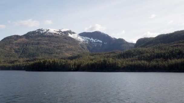 Canadá Passagem Interior Ilha Vancouver Rastreamento Extra Largo Tiro Árvore — Vídeo de Stock