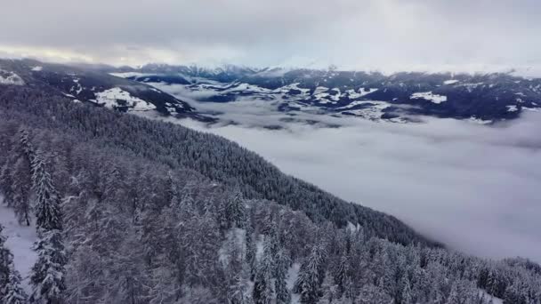 North Italian Winter Landscape Mountain Forest Low Clouds Valley Aerial — Stock Video