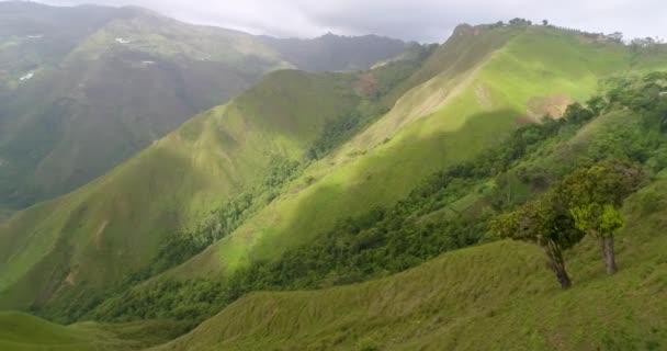 Vacker Tropisk Grön Skog Träd Äng Kullar Flygfoto Jarillo Venezuela — Stockvideo