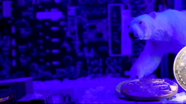 Moeda Brilhante Binance Queda Neve Urso Altcoin Luz Azul Fria — Vídeo de Stock