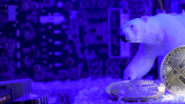 Bnb Crypto Winter的概念 Snow落在北极熊和硬币上 慢动作 — 图库视频影像