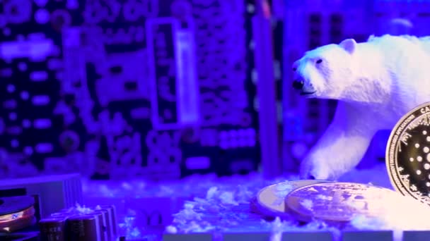 Кардано Голубой Свет Системной Сети Медведь Крипто Валюта Зима Пан — стоковое видео