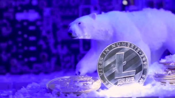 Krypto Litecoin Physische Münze Mit Bär Schnee Herbst Global Futuristisches — Stockvideo