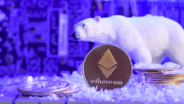 Ethereum Eth Munt Met Ijsbeer Sneeuw Gevallen Als Prijzen Crypto — Stockvideo