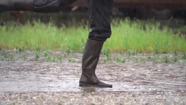 Persona Calcia Acqua Pozzanghera Sotto Pioggia Movimento Lento — Video Stock