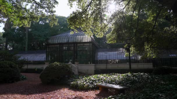 Buenos Aires Botanical Garden Glasshouse Sits Lush Foliage — Stock Video