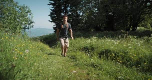 Панорамный Снимок Человека Туриста Проходящего Мимо Камеры Среди Травы Цветов — стоковое видео