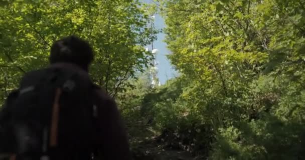 Камера Следует Молодым Туристом Приближающимся Вершине Горы Среди Зеленых Деревьев — стоковое видео